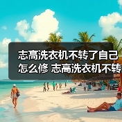 志高洗衣机不转了自己怎么修 志高洗衣机不转了的维修方法【详解】（图3）