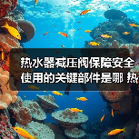 热水器减压阀保障安全使用的关键部件是哪 热水器减压阀保障安全使用的关键部件介绍【详解】（图2）