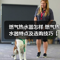 燃气热水器怎样 燃气热水器特点及选购技巧【详解】（图1）