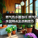 燃气热水器怎样 燃气热水器特点及选购技巧【详解】（图4）