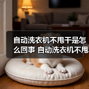 自动洗衣机不甩干是怎么回事 自动洗衣机不甩干的原因及解决方法【详解】（图4）