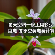 冬天空调一晚上用多少度电 冬季空调电费计算方法【详解】(图1) 冬天空调一晚上用多少度电 冬季空调电费计算方法【详解】(图1)