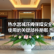 热水器减压阀保障安全使用的关键部件是哪 热水器减压阀保障安全使用的关键部件介绍【详解】（图4）