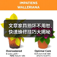 文章家具损坏不用愁，快速维修技巧大揭秘（图2）
