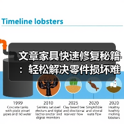 文章家具快速修复秘籍:轻松解决零件损坏难题(图3) 文章家具快速修复秘籍:轻松解决零件损坏难题(图3)