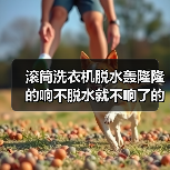 滚筒洗衣机脱水轰隆隆的响不脱水就不响了的原因及解决方法【详解】（图4）