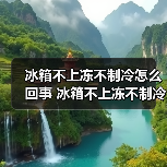冰箱不上冻不制冷怎么回事 冰箱不上冻不制冷的原因和解决方法【详解】（图4）