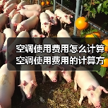 空调使用费用怎么计算 空调使用费用的计算方法及影响因素分析【详解】（图1）