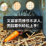 文章家具维修不求人，图解案例轻松上手！（图4）