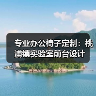 专业办公椅子定制:桃浦镇实验室前台设计(图1) 专业办公椅子定制:桃浦镇实验室前台设计(图1)
