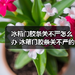冰箱门胶条关不严怎么办 冰箱门胶条关不严的维修技巧及注意事项【详解】（图4）