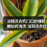 滚筒洗衣机门口的橡胶圈如何清洗 滚筒洗衣机门口的橡胶圈清洗方法【详解】（图2）
