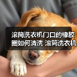 滚筒洗衣机门口的橡胶圈如何清洗 滚筒洗衣机门口的橡胶圈清洗方法【详解】（图3）