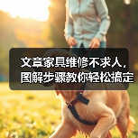 文章家具维修不求人，图解步骤教你轻松搞定！（图3）