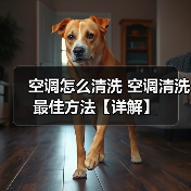 空调怎么清洗 空调清洗最佳方法【详解】（图4）