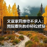 文章家具维修不求人：图解案例教你轻松修复家常家具（图4）