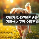 空调万能遥控器无法关闭是什么原因 空调万能遥控器无法关闭解决方法【详解】（图4）