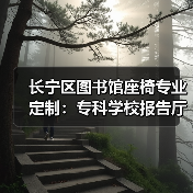 长宁区图书馆座椅专业定制：专科学校报告厅椅设计（图2）