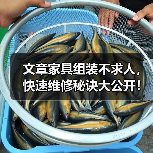 文章家具组装不求人，快速维修秘诀大公开！（图3）