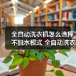 全自动洗衣机怎么选择不脱水模式 全自动洗衣机选择不脱水模式方法【详解】（图2）