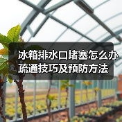 冰箱排水口堵塞怎么办 疏通技巧及预防方法（图2）