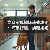 文章家具损坏速修攻略：巧手修复，焕新如初，告别等待！（图3）