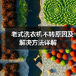 老式洗衣机不转原因及解决方法详解（图2）