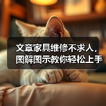 文章家具维修不求人，图解图示教你轻松上手（图4）