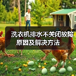 洗衣机排水不关闭故障原因及解决方法（图1）