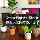 文章家具维修：轻松掌握五大实用技巧，让你的家居焕然一新（图2）