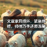 文章家具损坏，紧急维修，师傅巧手还原温馨家园（图1）