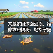 文章家具漆面受损，维修攻略揭秘：轻松掌握定西家具漆面修复技巧（图3）