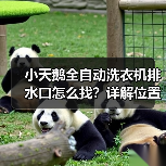 小天鹅全自动洗衣机排水口怎么找？详解位置与使用技巧（图4）