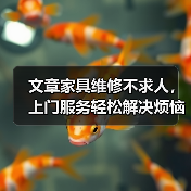 文章家具维修不求人，上门服务轻松解决烦恼（图3）