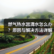 燃气热水器滴水怎么办？原因与解决方法详解（图4）