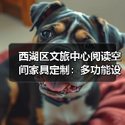 西湖区文旅中心阅读空间家具定制：多功能设计提升阅读体验（图1）