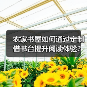 农家书屋如何通过定制借书台提升阅读体验？（图1）