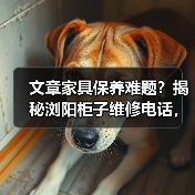 文章家具保养难题？揭秘浏阳柜子维修电话，让家居生活无忧（图3）