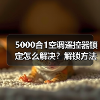 5000合1空调遥控器锁定怎么解决？解锁方法详解（图3）