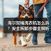 海尔双桶洗衣机怎么拆？安全拆卸步骤全解析（图2）